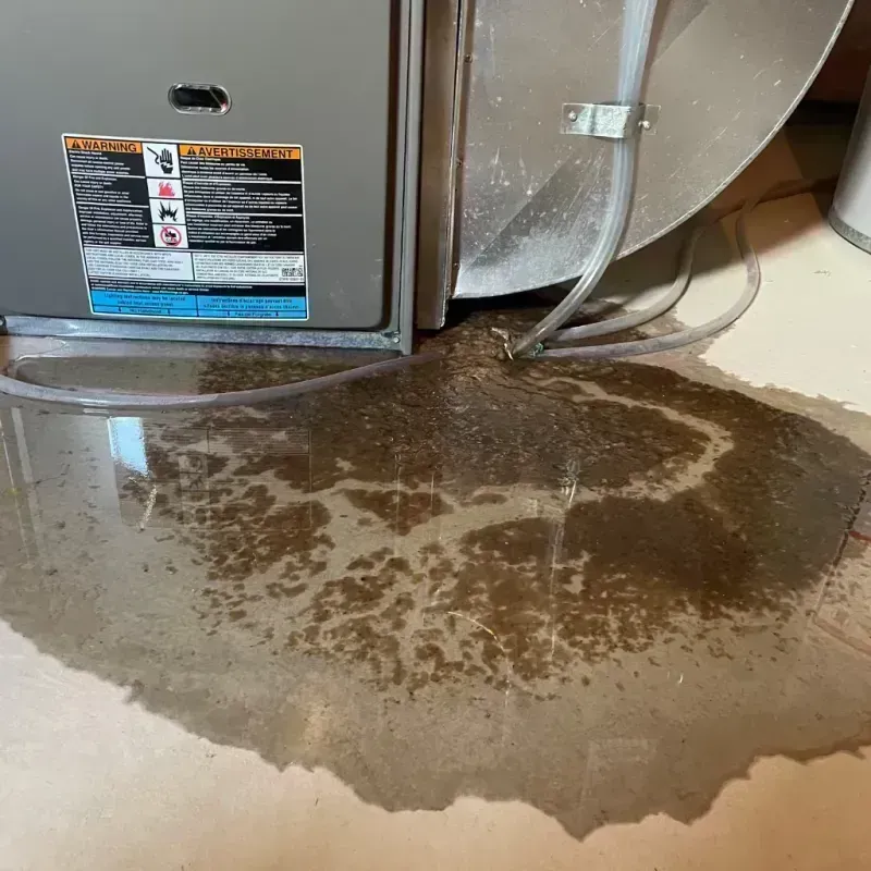 Appliance Leak Cleanup in West Chicago, IL